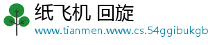 纸飞机 回旋